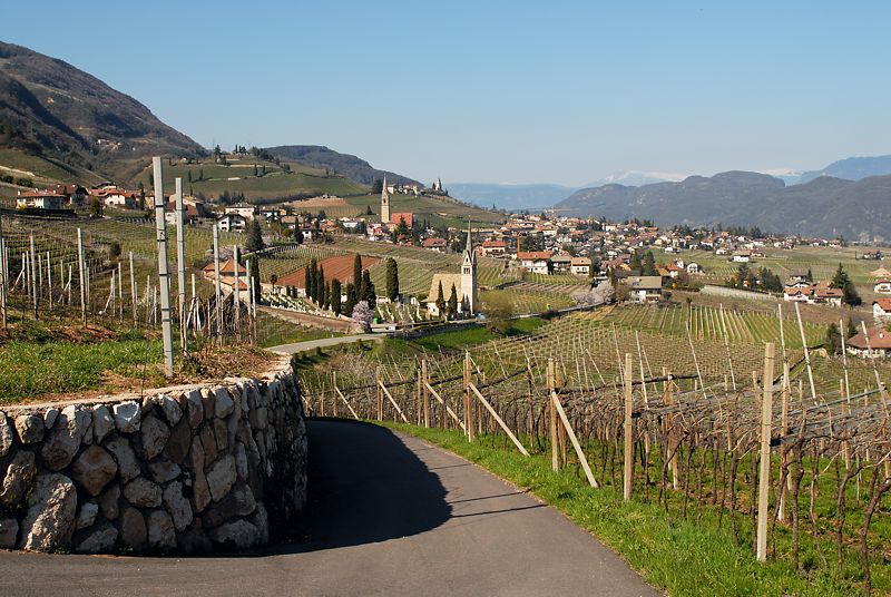 Fr�hling in Tramin
