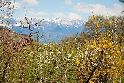 April2010_2