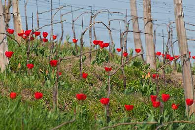 April2010_8