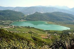 der Kalterer See - Bild vergr��ern