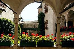 die Schwanburg - Bild vergr��ern