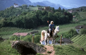 vor dem Apfelschu� auf dem Kreuzstein