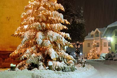 Zwei Christb�ume