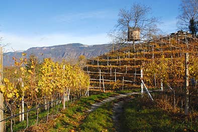 am M�hlweg bei Girlan