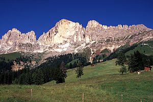 sommerlicher Rosengarten sommerlicher Rosengarten